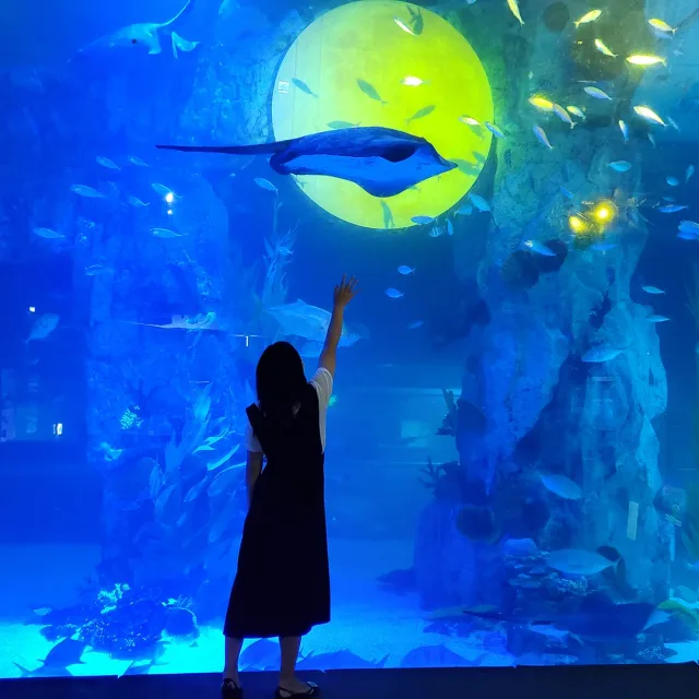 김졍