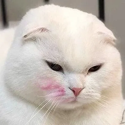 리리리