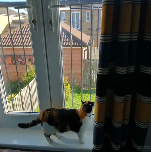 Mia