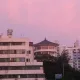 치킨덕후