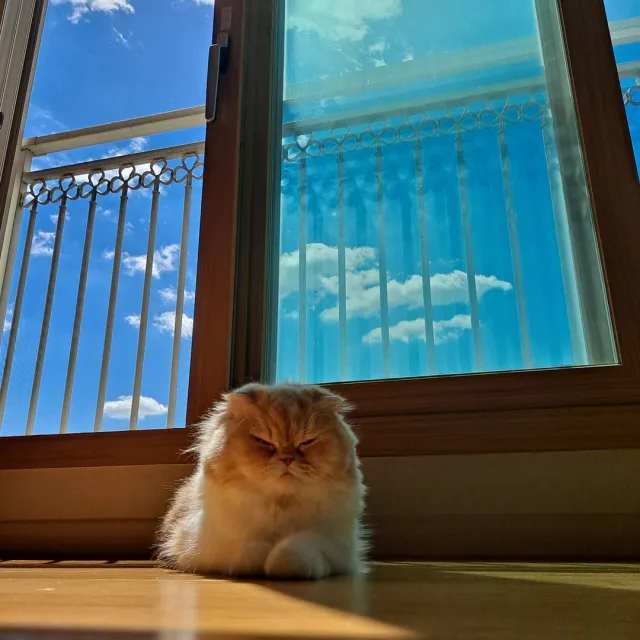구르미