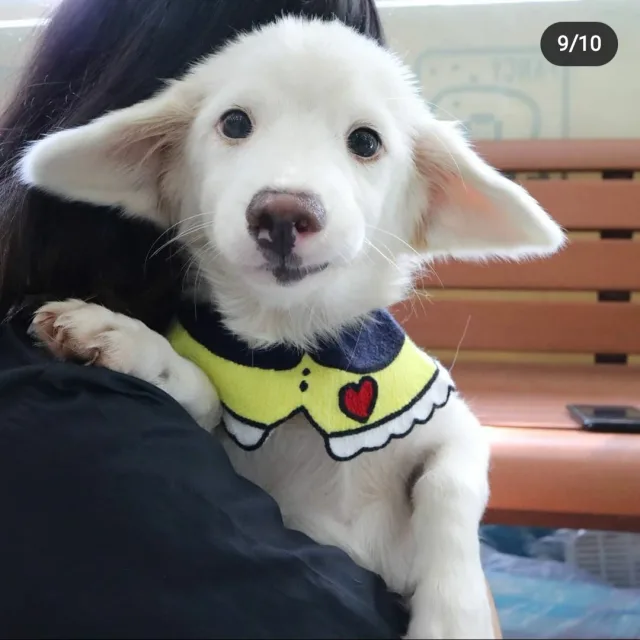 튜브야이제안녕