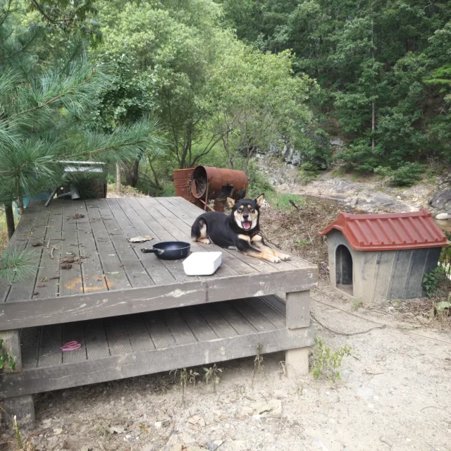 비움