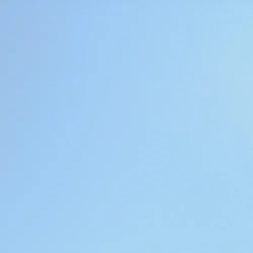 쏭쏭