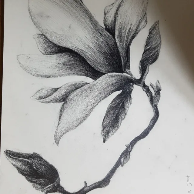 수도파