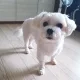 모튀몽