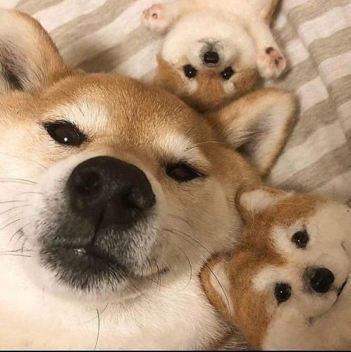 딸근