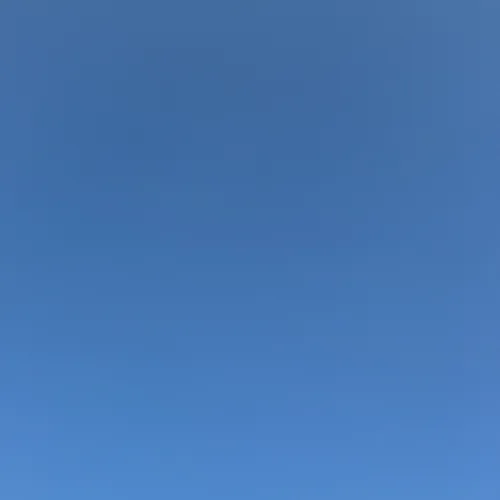 도넛