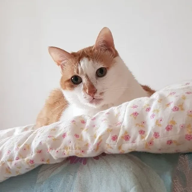 함께나눠요