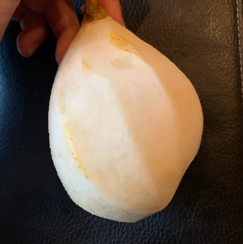 서경