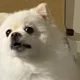 둘둘둘