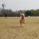 꼼지으르르