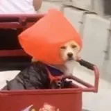 잉엥옹