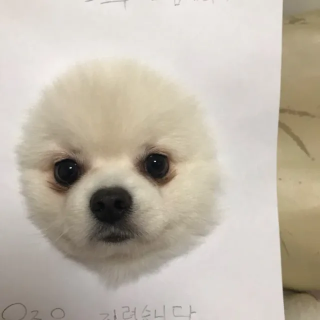 뚱기