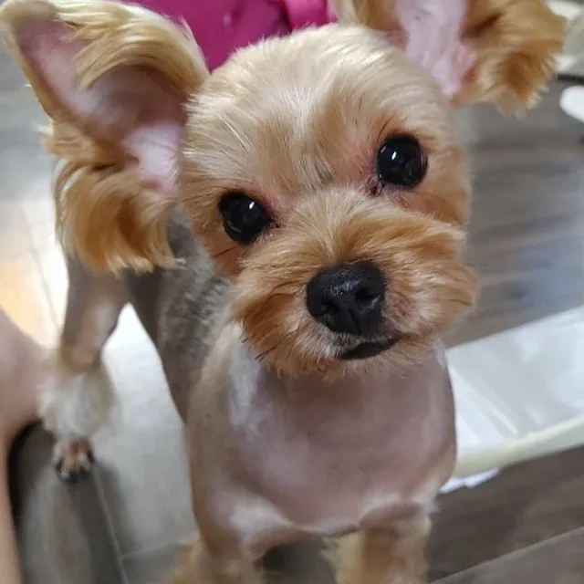 함께행복