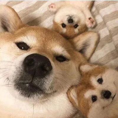 비비빅