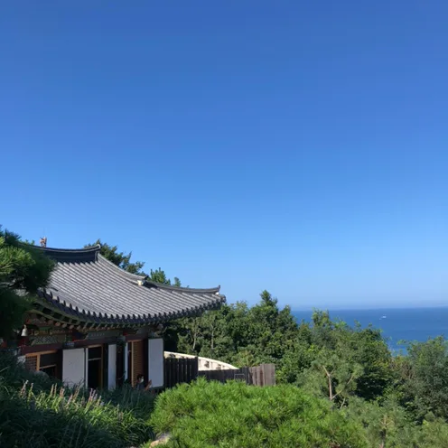 뀰꿀