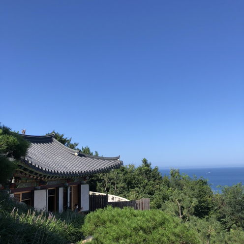 뀰꿀