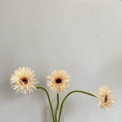 초코초코