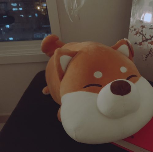 쵱뇽