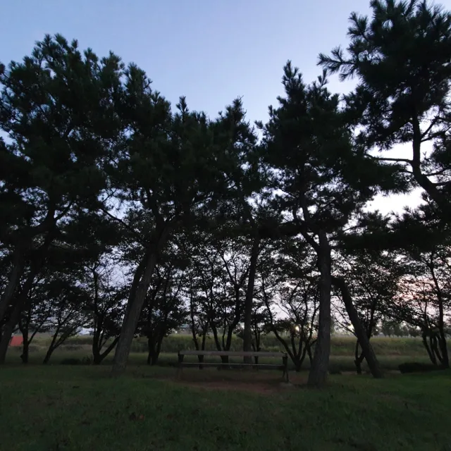 고래밥