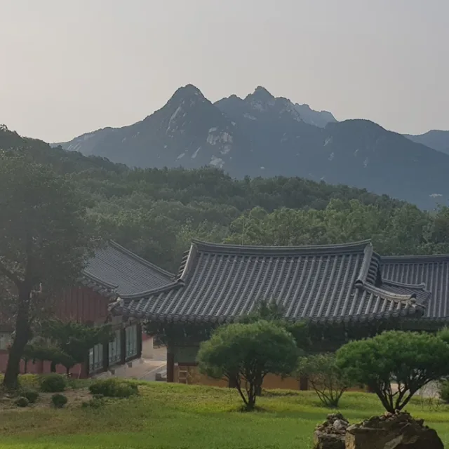 사고싶은사람