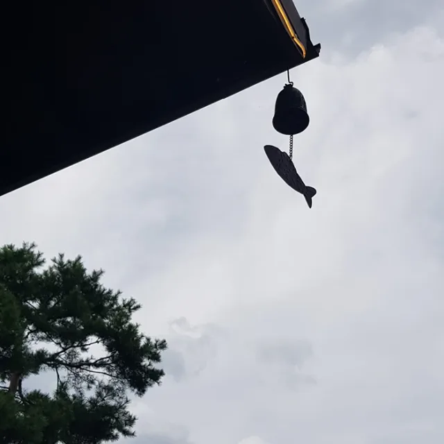 토끼풀