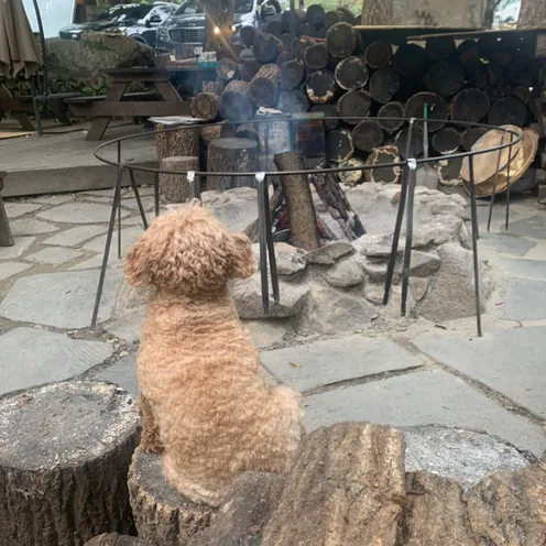 꽥꽥이