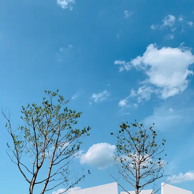 푸른밤