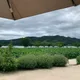 당근토끼냥