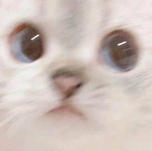 꾸름