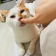 주스는콜드