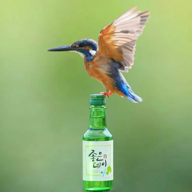 영상사랑