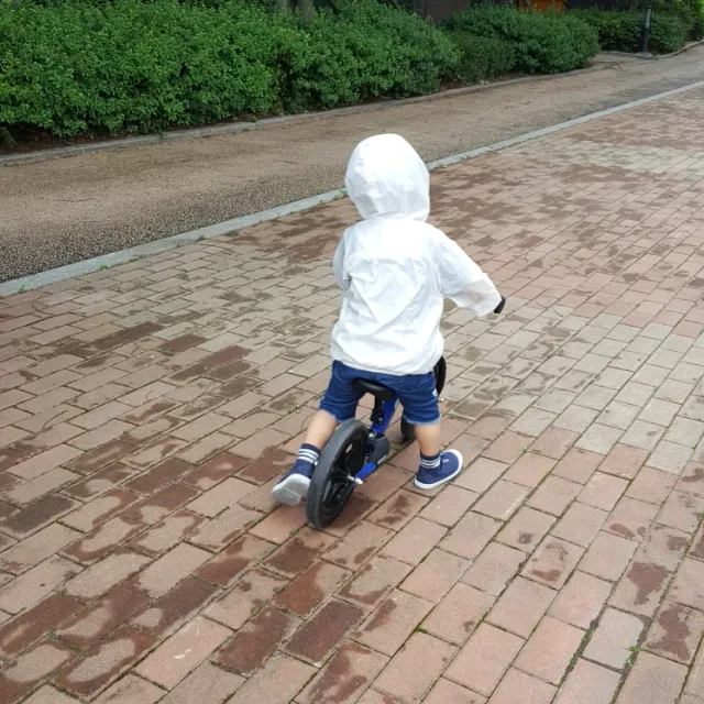 에비지