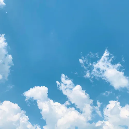 휴지