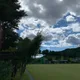 하이당근