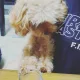 혀니샘