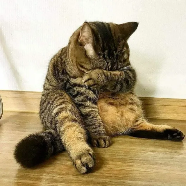 냅둬유
