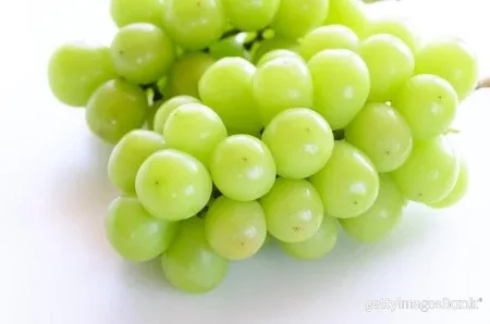 샤인머스캣
