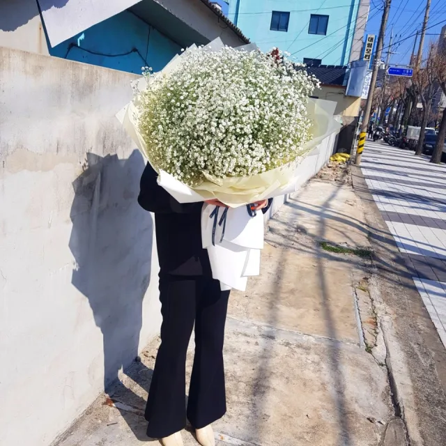 마린보이