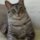 숨쉬는돌
