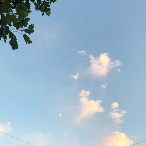 요블리