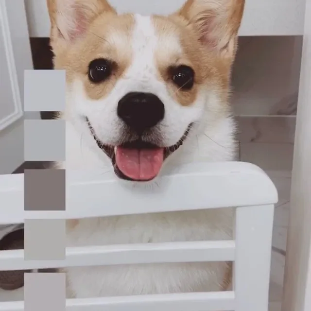 bambi