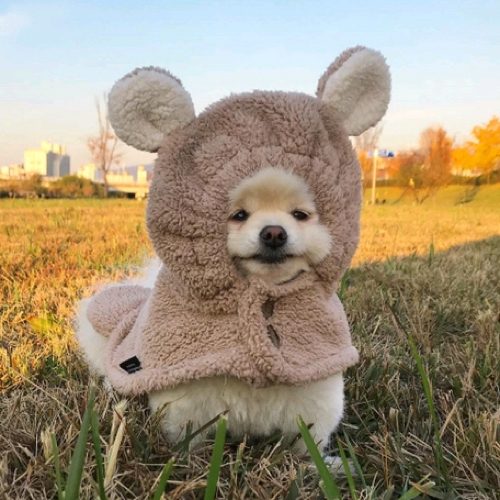 리뷰 프로필 이미지
