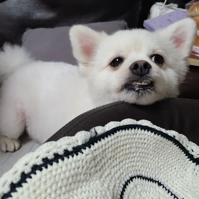 대박이네