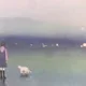 민트민트