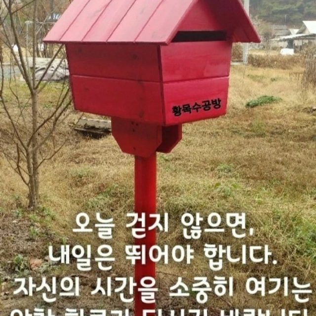 쟈스민