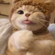 오키도키