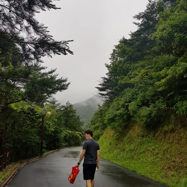 용고