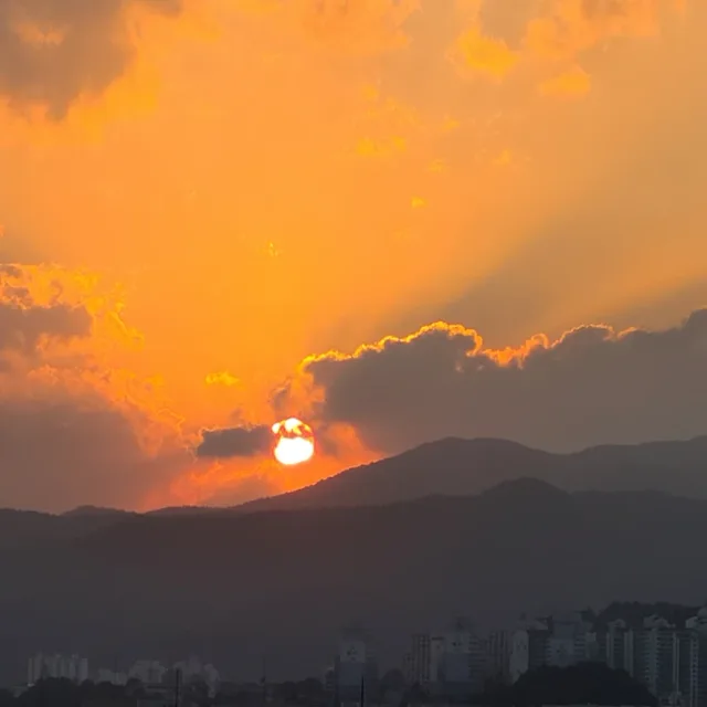 강마른